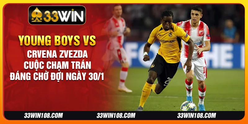 Young Boys vs Crvena zvezda: Cuộc chạm trán đáng chờ đợi ngày 30/1